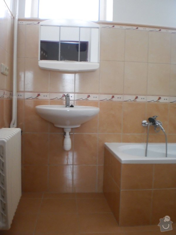 Rekonstrukce koupelny a kuchynského koutu: P3140151
