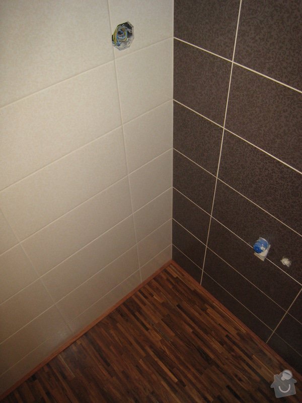 Obkložení koupelna a WC: IMG_2446