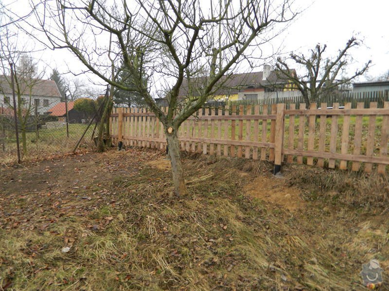 Dřevený chalupářský plot : DSCN1208
