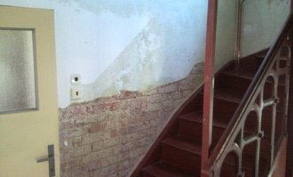 Sanační omítku cca 8m2,falešnou stěnu za sadrokartonu 8m2,malování schodiště včetně škrabání.