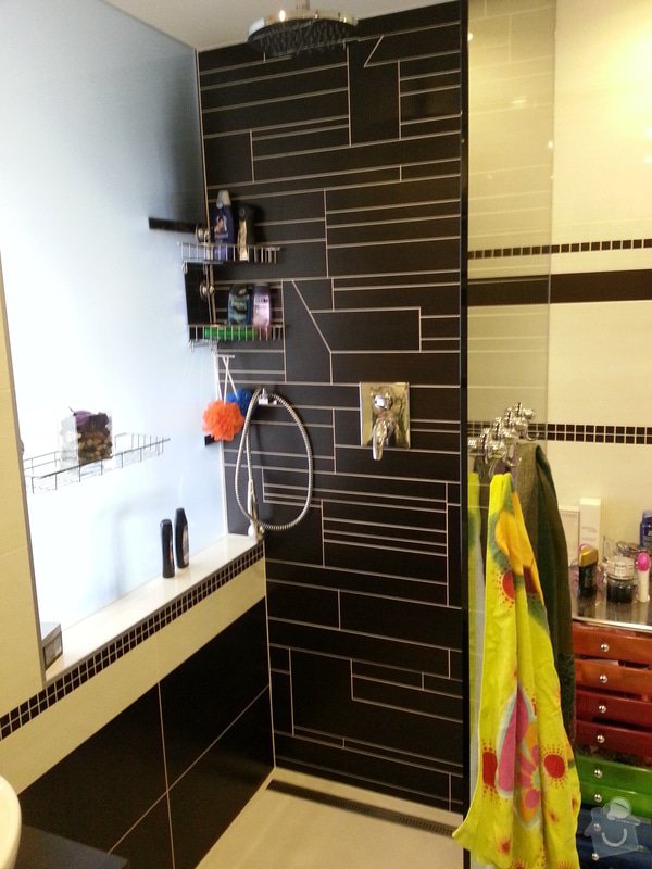 Rekonstrukce bytu: Koupelna_sprchac