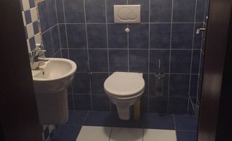 Rekonstrukce toalety - stav před realizací