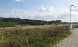 Posekání vysoké trávy - pozemek Nová Ves Pod pleší 1271m2 - stav před realizací