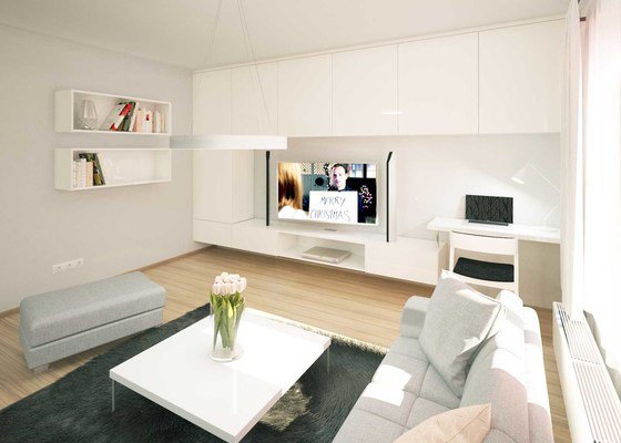 Návrh moderního obývacího pokoje a kuchyňské části