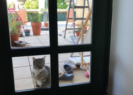 Instalace dvířek pro kočku do skleněných dveří - stav před realizací