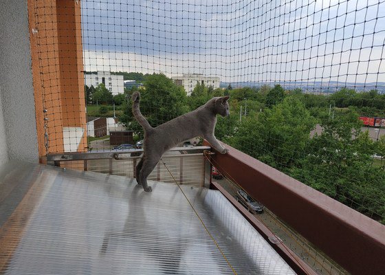 Síť pro kočku na balkón