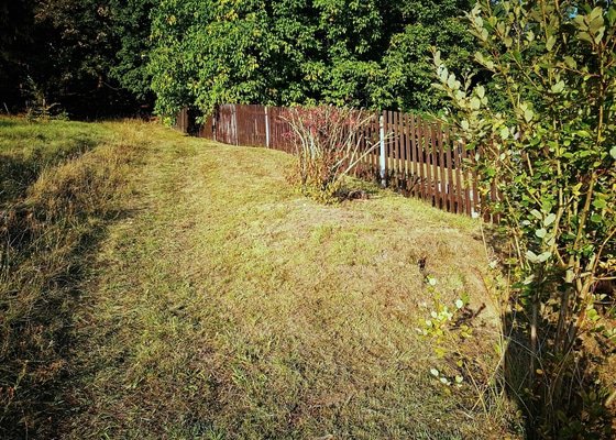 Ostříhání živého plotu plus posekání zahrady
