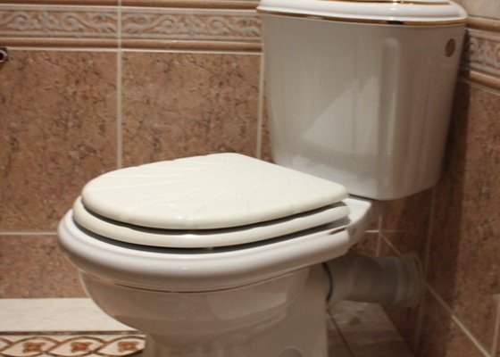 Oprava WC - protékání, splachování