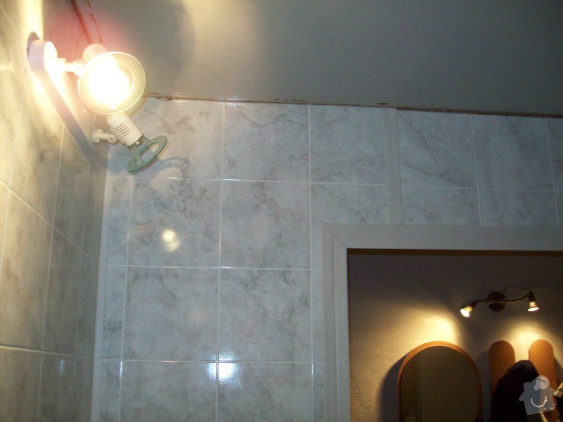 Rekonstrukce koupelny a WC v panelákovém bytě: 100_1193