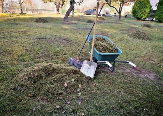 Vertikutace + hnojení trávníku, vykácení nevhodných dřevin, vykopání pařezů