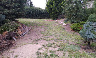 Založení nového trávníku a ostříhání živého plotu - stav před realizací
