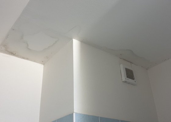Rekonstrukce sádrokartonového stropu koupelny a výměna izolace