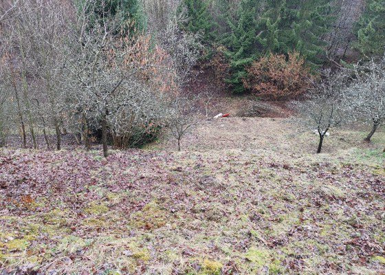 Posekání terasovité zahrady a popř. odstranění náletů - Kamenice u Dobrého
