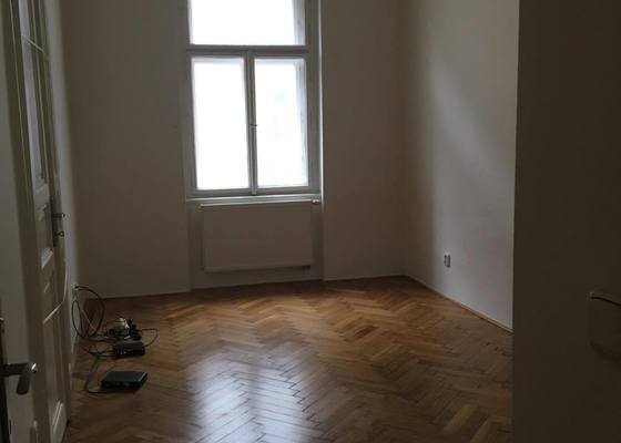 Vymalování bytu (3 místnosti - celkem 43m²)