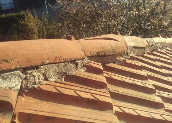 Oprava střechy - hřebenáče, a terasy - tekutá lepenka