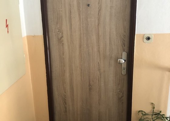 Dveře do bytu