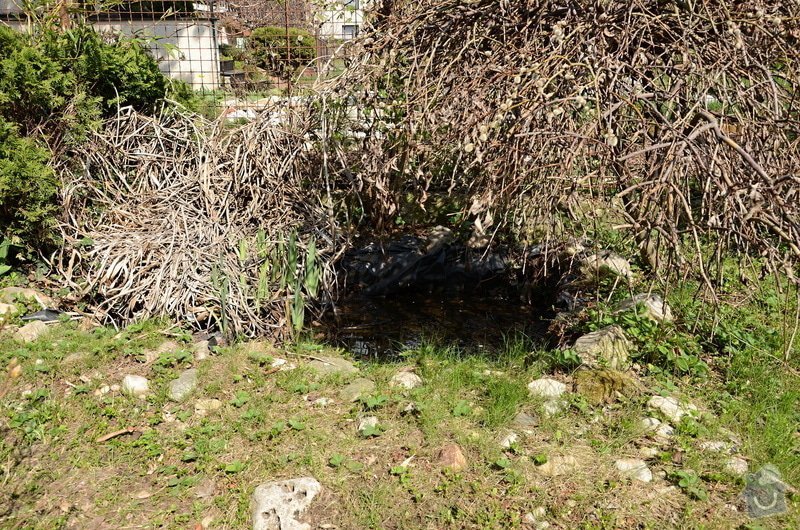 Revitalizace jezírka, skalky a záhonů v horní části zahrady: puvodni_stav_jezirka_1