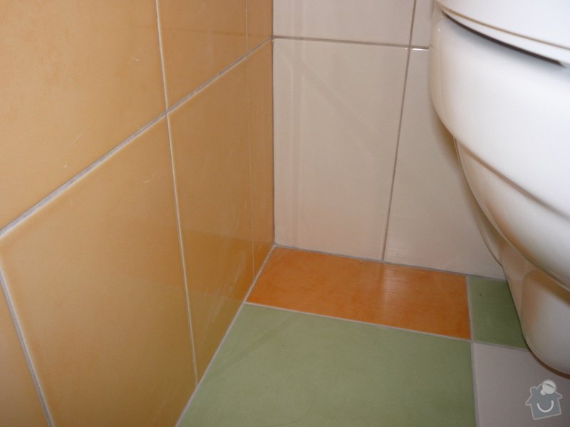 Obklady a dlazby v koupelne+WC: p1060347