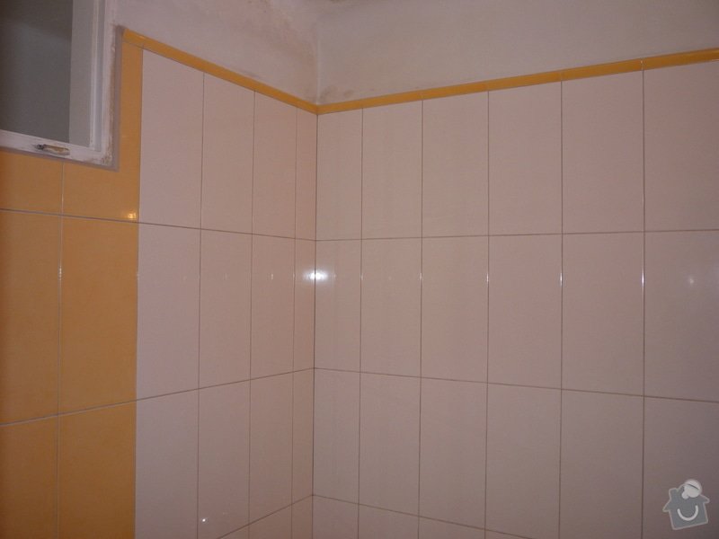 Obklady a dlazby v koupelne+WC: p1060350