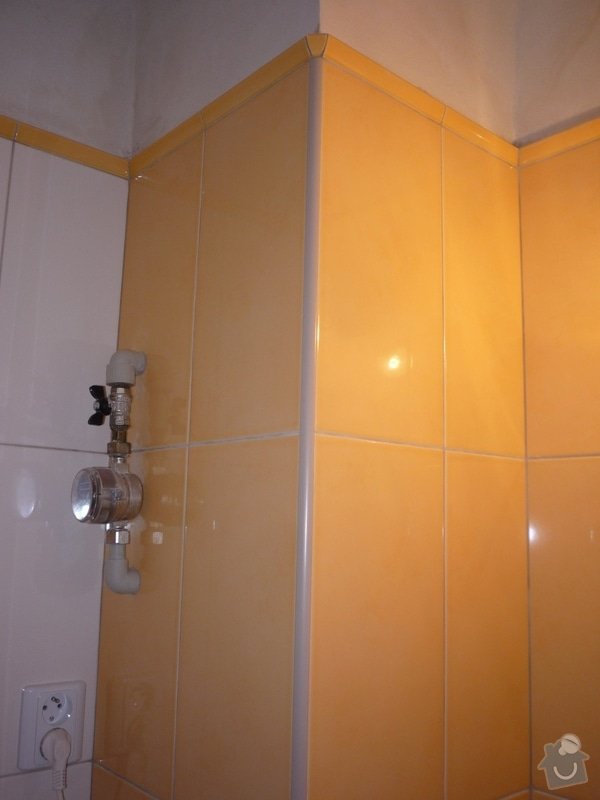 Obklady a dlazby v koupelne+WC: p1060351