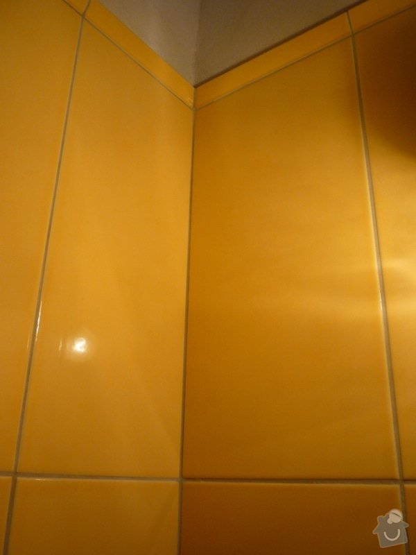 Obklady a dlazby v koupelne+WC: p1060352