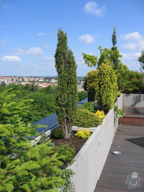 Revitalizace a následná pravidelná péče o střešní zahradu. : IMG_8544