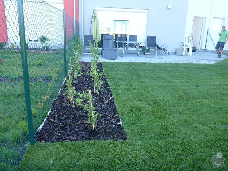 Realizace jednoduché zahrady: P1020610