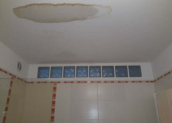 Vymalování bytu 2+kk v paneláku, 48m2 (koupelna a částečně kuchyň je po promáčení ze sousedního bytu)