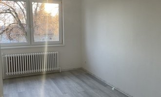 Rekonstrukce bytu, štuky, malování zdění byt 3+1
