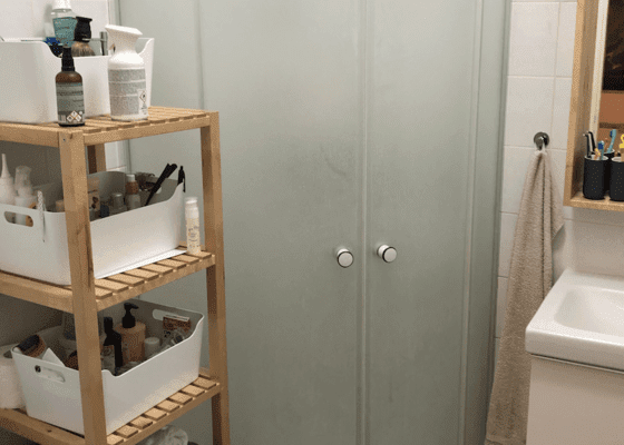Výměna sprchového koutu + případná výměna WC