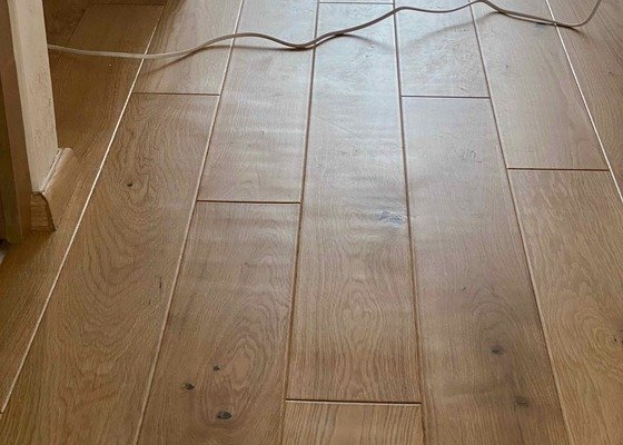 Odborné posouzení poškození dřevěné podlahy