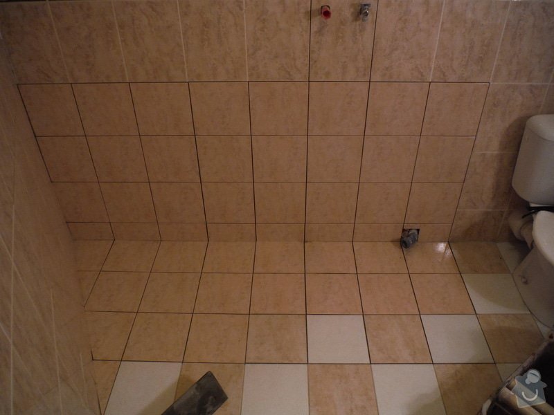 Menší rekonstrukce koupelny: DSCF0248