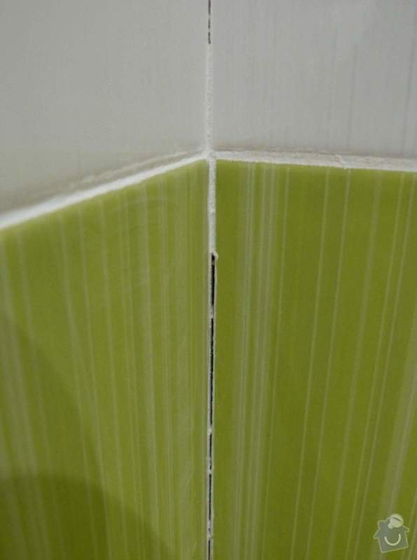 Obklady a dlažba v koupelně, dlažba v předsíni.: P1250924
