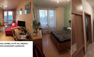 Vymalování bytu, 2 místnosti, 55 m² - stav před realizací