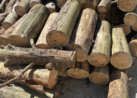 Řezání a štípání dřeva