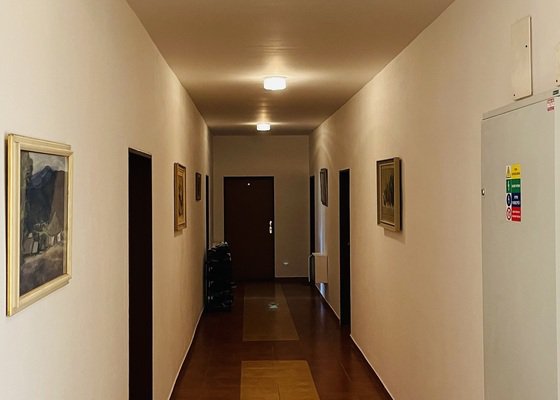 Výmalba, více než 5 místností, 1000 m²