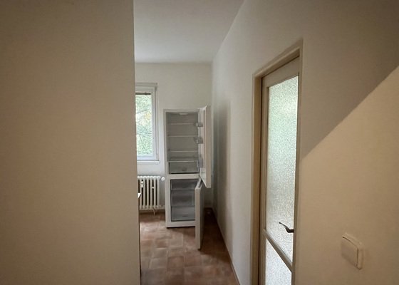 Malování bytu, více než 5 místností, 56 m²