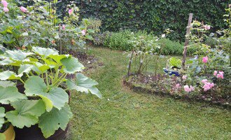 Zahradnické práce - stav před realizací