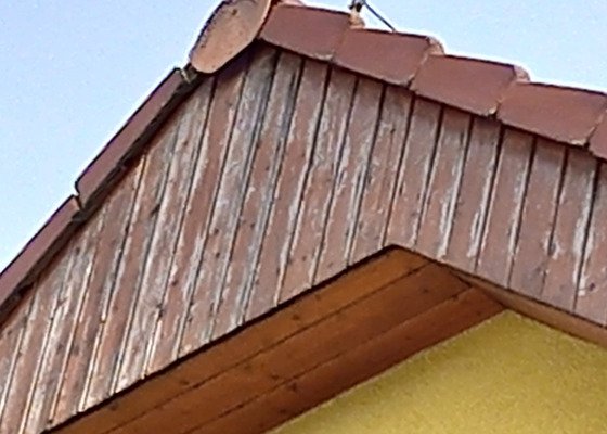 Nátěr střechy
