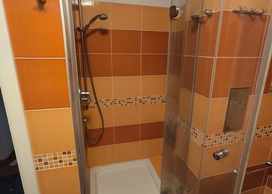 Dílčí rekonstrukce koupelny v Praze 6