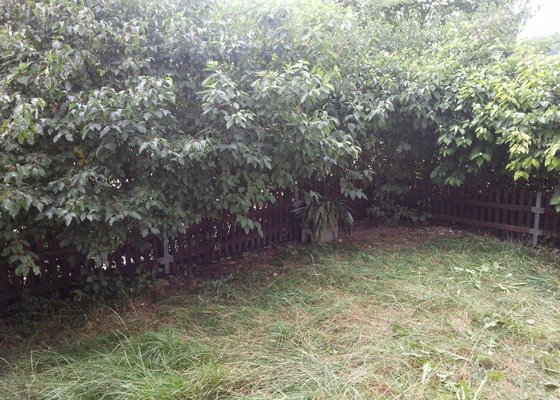 Zahradnické práce -úprava předzahrádky 34m2 Beroun