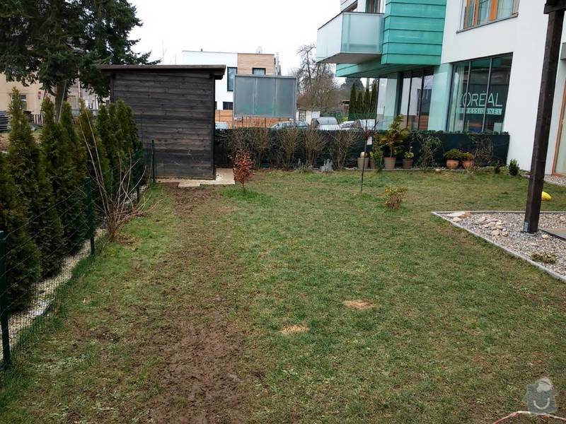 Zahradnické práce - trávník, travní koberec 35-40m2: 20150215_112559