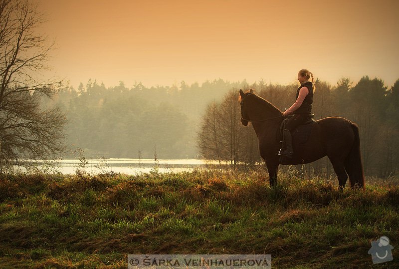 Fotografování koní: podzimni-343