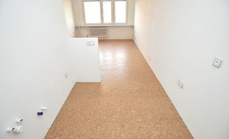Částečná rekonstrukce bytu (jádro, podlahy, elektroinstalace, malířské práce)