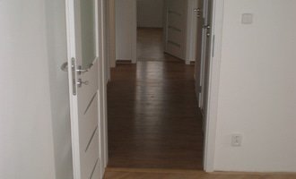 Renovace parket,vyrovnání podlah sanoniveleční stěrkou,lepení vinylové podlahy,montáž int.dveří