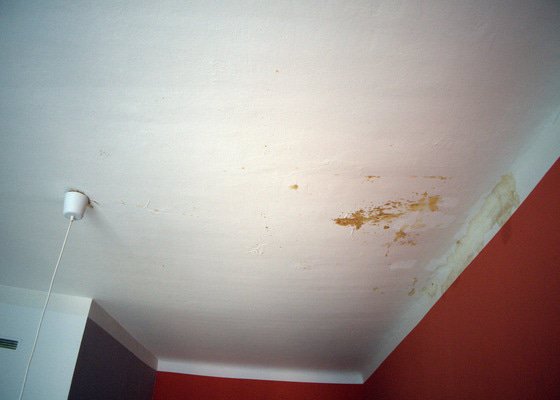 Oprava stropní omítky v činžovním domě a následné vymalování celého stropu
